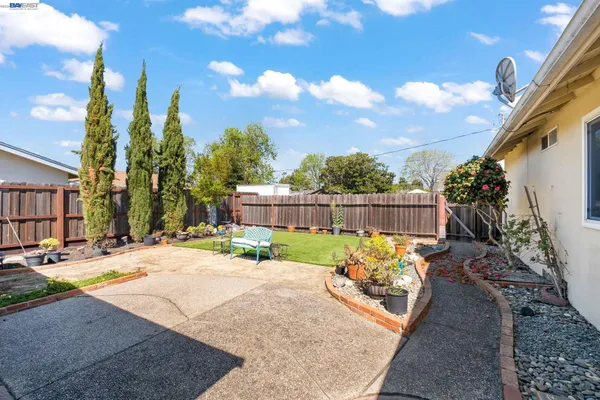 a view of a backyard with couches and potted plants