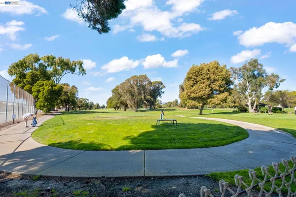 a view of a swimming pool with a yard