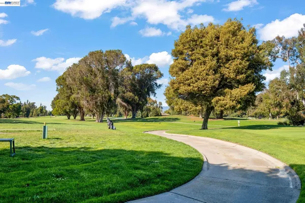 a view of an outdoor space and trees all around