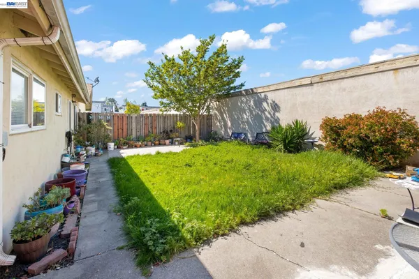 a view of a backyard with plants