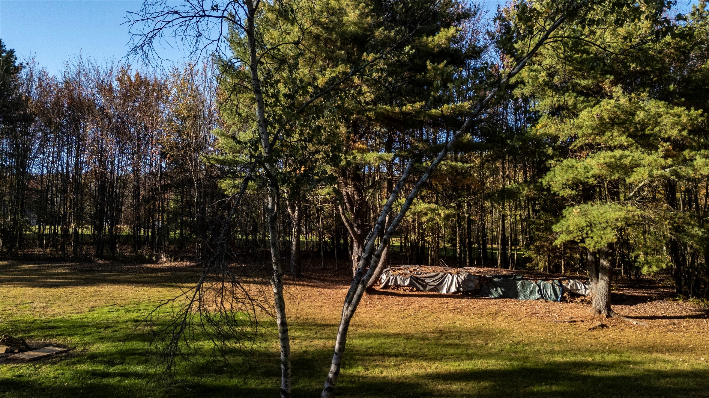 70 Monkey Run Road Port Crane, NY 13833 - Photo 33 of 49