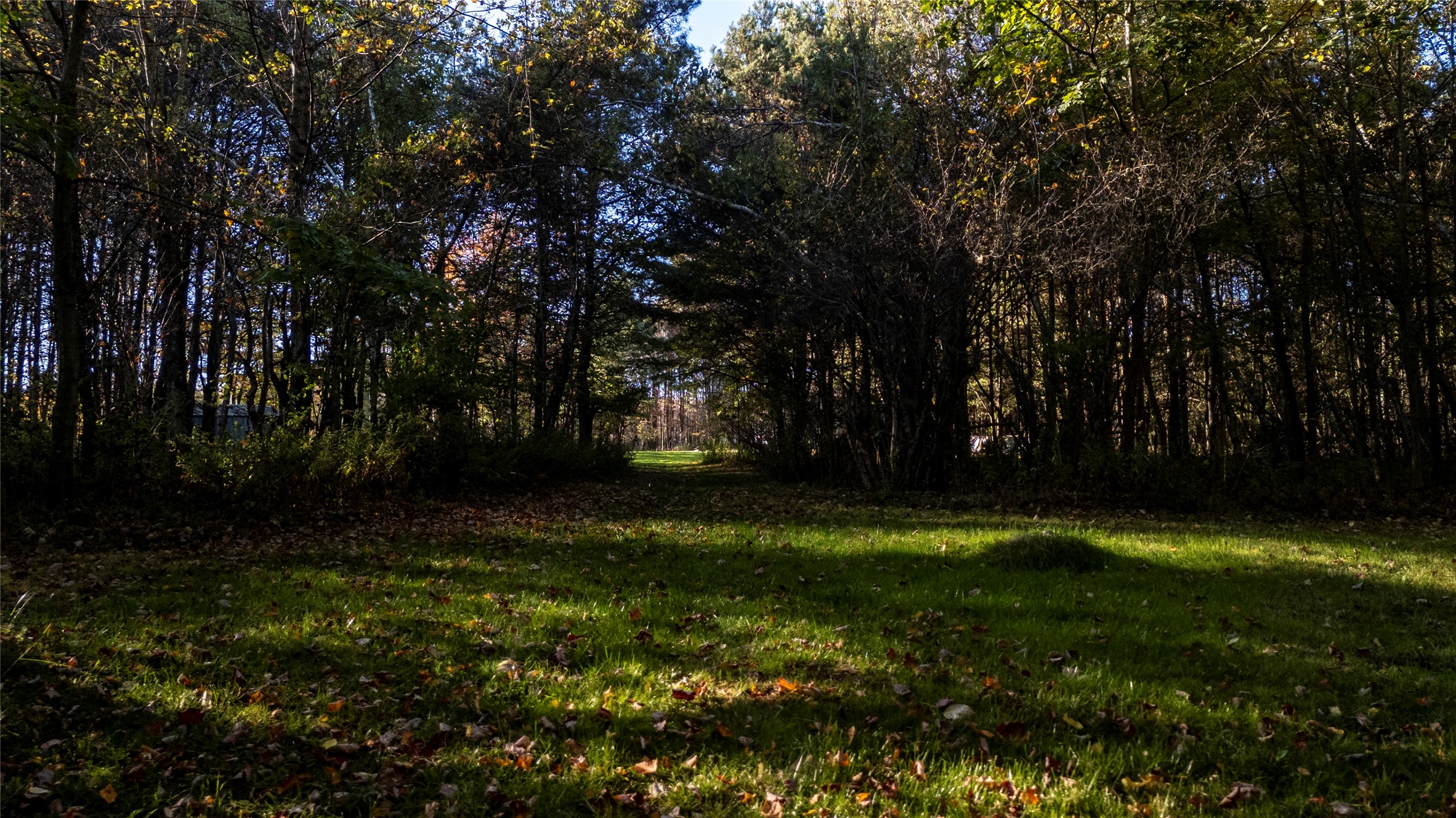 70 Monkey Run Road Port Crane, NY 13833 - Photo 35 of 49