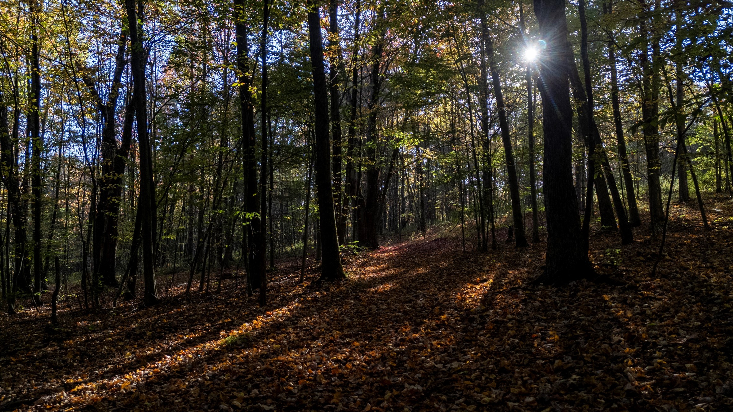 70 Monkey Run Road Port Crane, NY 13833 - Photo 36 of 49