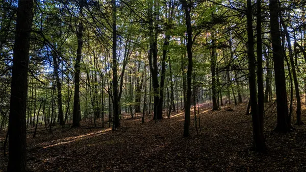 $429,000 | 70 Monkey Run Road, Port Crane, NY 13833