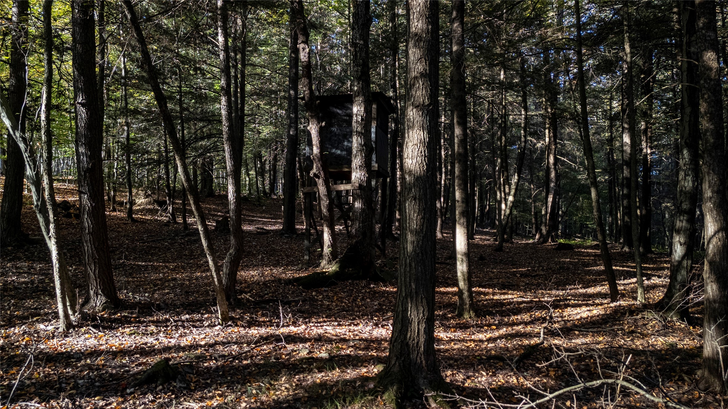 70 Monkey Run Road Port Crane, NY 13833 - Photo 38 of 49