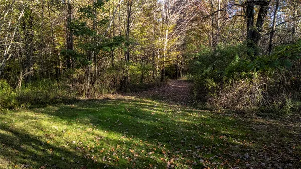 $429,000 | 70 Monkey Run Road, Port Crane, NY 13833