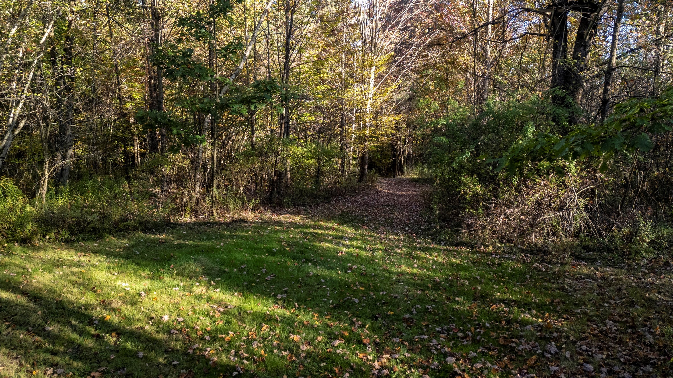 70 Monkey Run Road Port Crane, NY 13833 - Photo 40 of 49