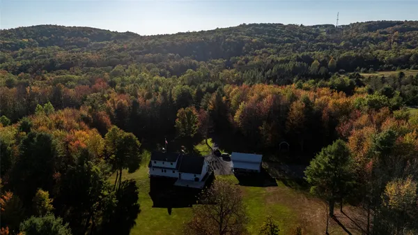 $429,000 | 70 Monkey Run Road, Port Crane, NY 13833