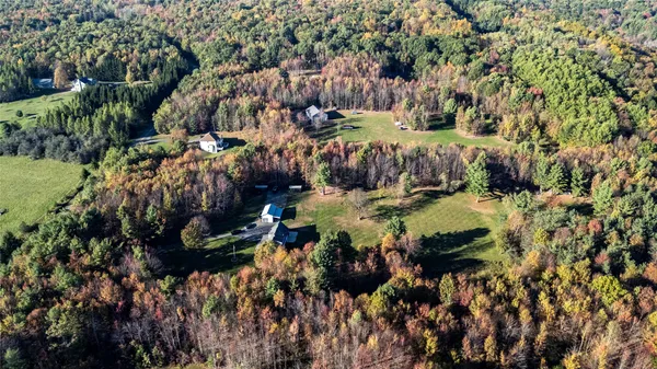 $429,000 | 70 Monkey Run Road, Port Crane, NY 13833