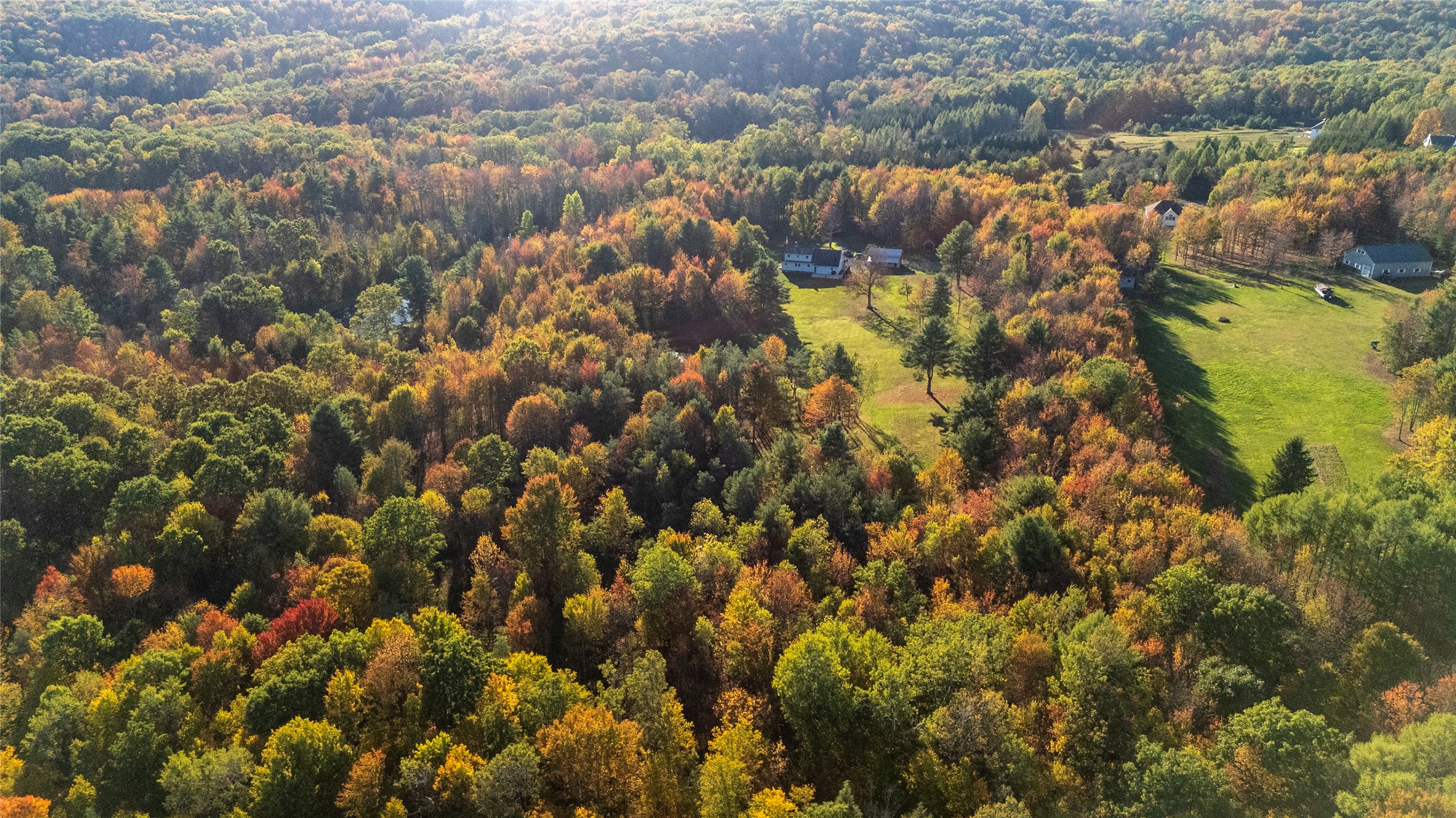 70 Monkey Run Road Port Crane, NY 13833 - Photo 48 of 49