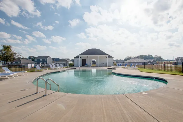a view of a trees in a yard