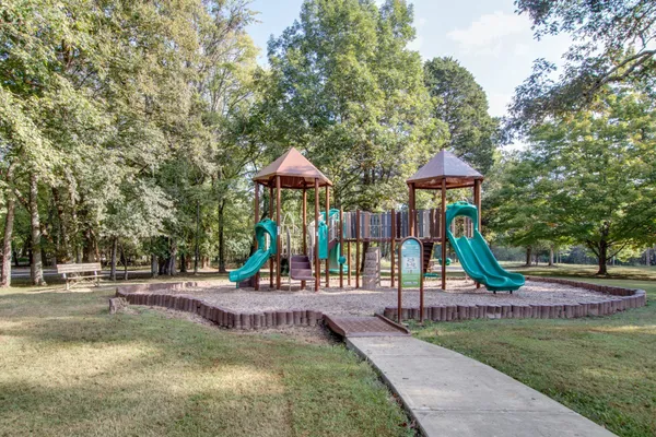a view of a park with large trees