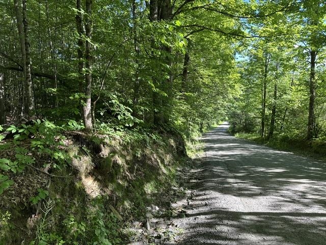 0 Marton Road Windsor, VT 05089 - Photo 4 of 4