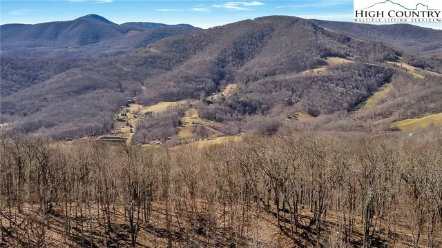 a view of a dry forest