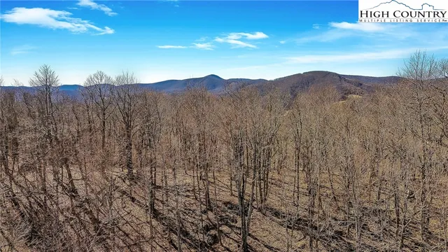 a view of a lot of trees and mountains
