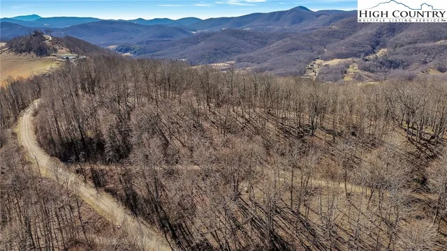 a view of a dry yard with trees and bushes