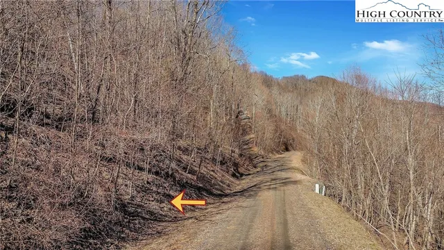 a view of a dry yard with trees
