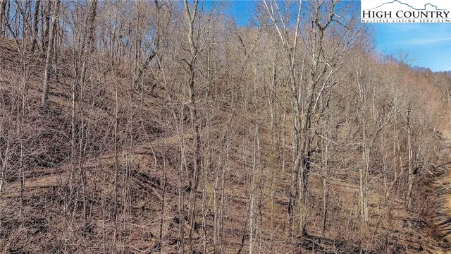 a view of a dry yard with mountains in the background