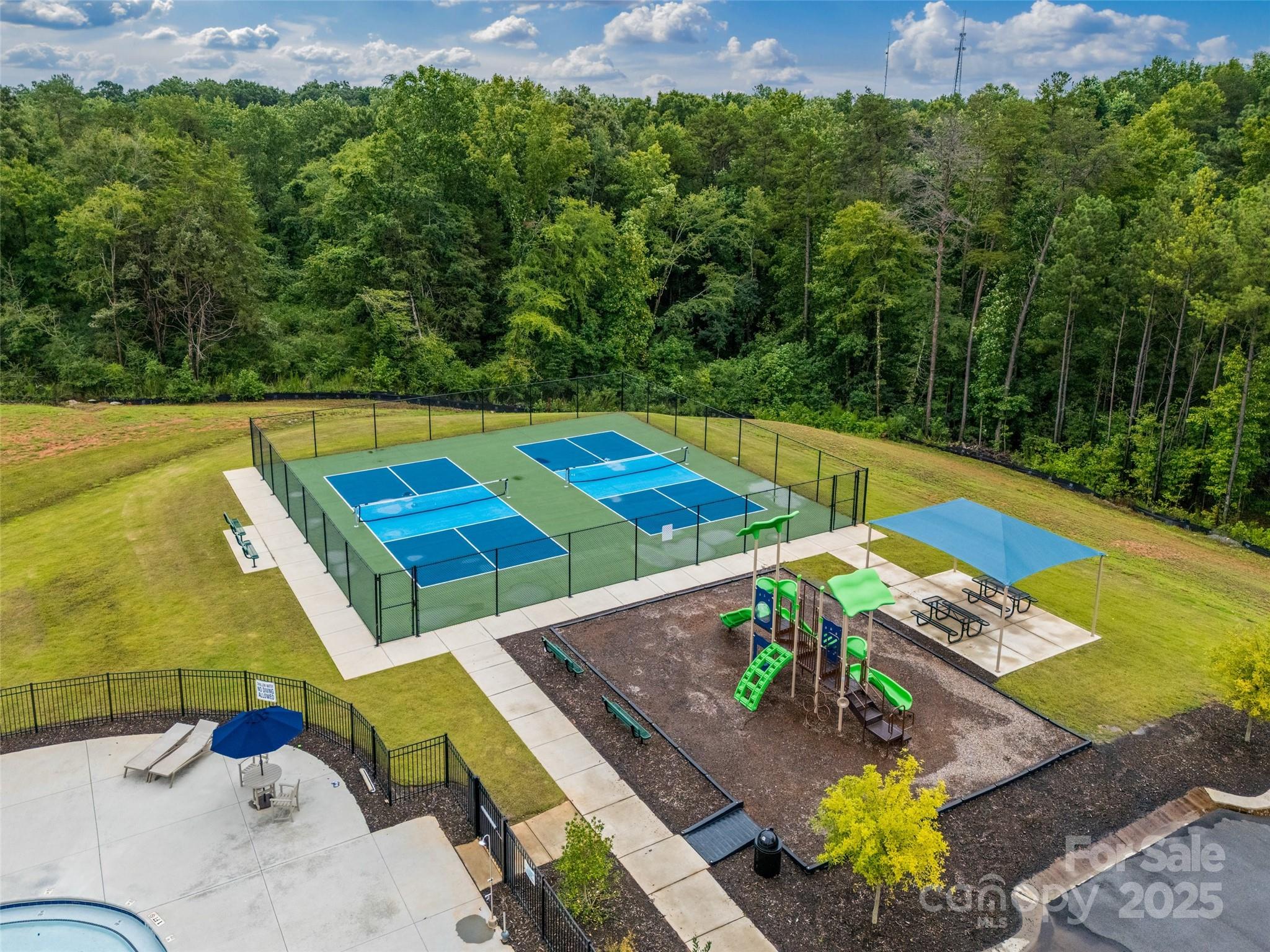 1219 Rutherford Street York, SC 29745 - Photo 34 of 38 a view of a swimming pool with lounge chair