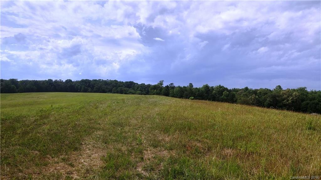 532 Sandy Run Church Road Mooresboro, NC 28114 - Photo 20 of 23 Gallery Image 20