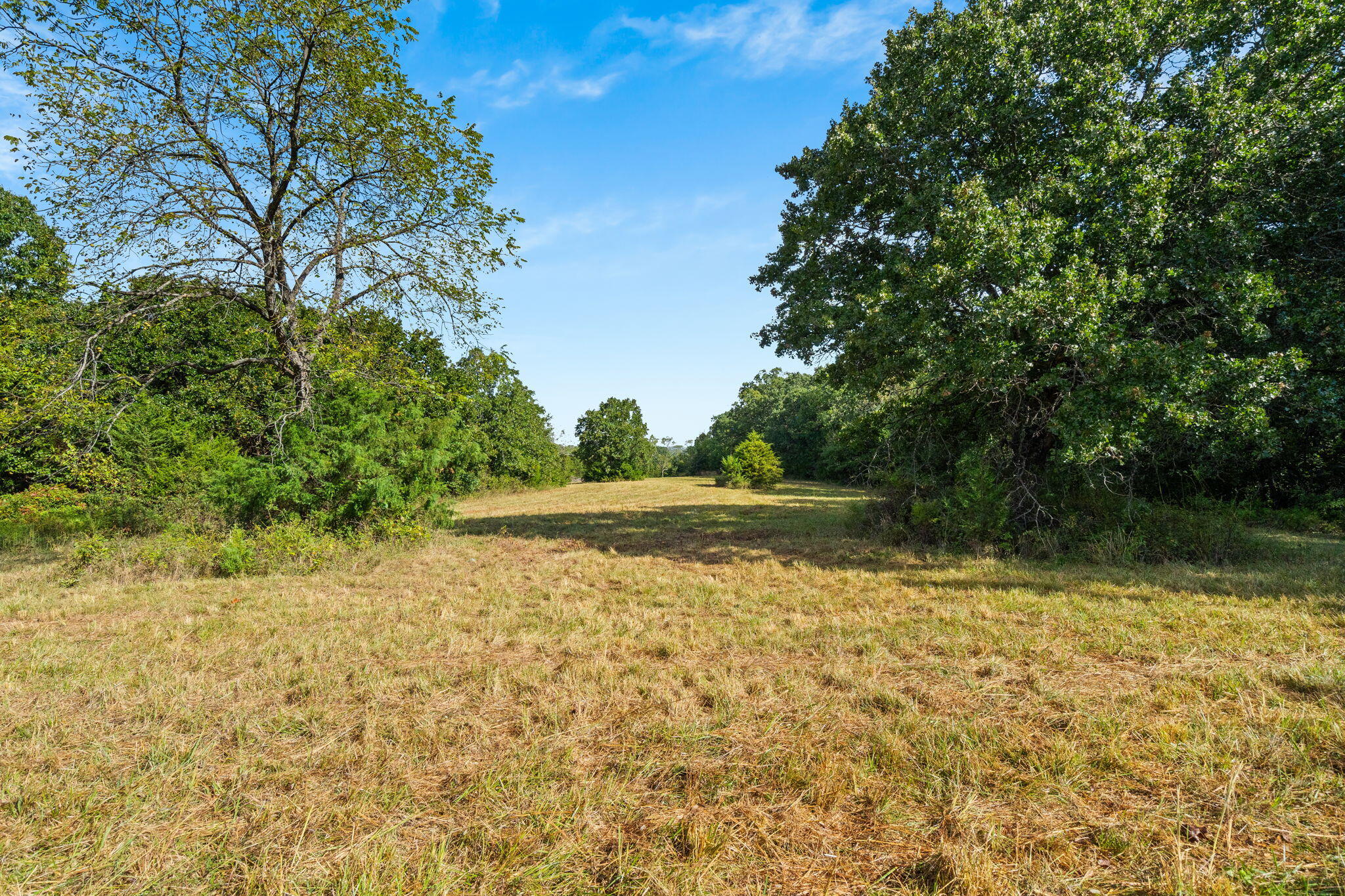 0 Bobcat Road Fordland, MO 65652 - Photo 23 of 24 000 Bobcat Rd