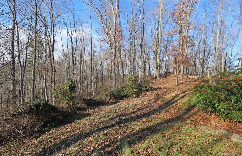 435 Clemson Road Waynesville, NC 28786 - Photo 4 of 21 a view of a backyard with plants and trees