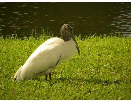 3202 Portofino Point, Unit L2 Coconut Creek, FL 33066 - Photo 9 of 9 View