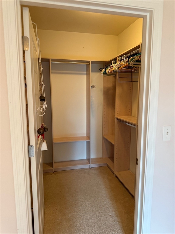 107 Clocktower Drive, Unit 207 Waltham, MA 02452 - Photo 11 of 18 a view of walk in closet