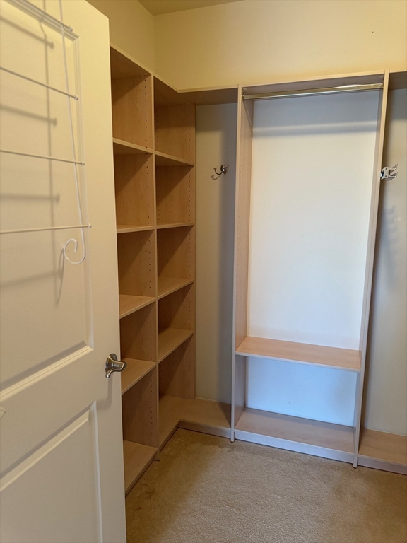 107 Clocktower Drive, Unit 207 Waltham, MA 02452 - Photo 12 of 18 a view of an empty walk in closet