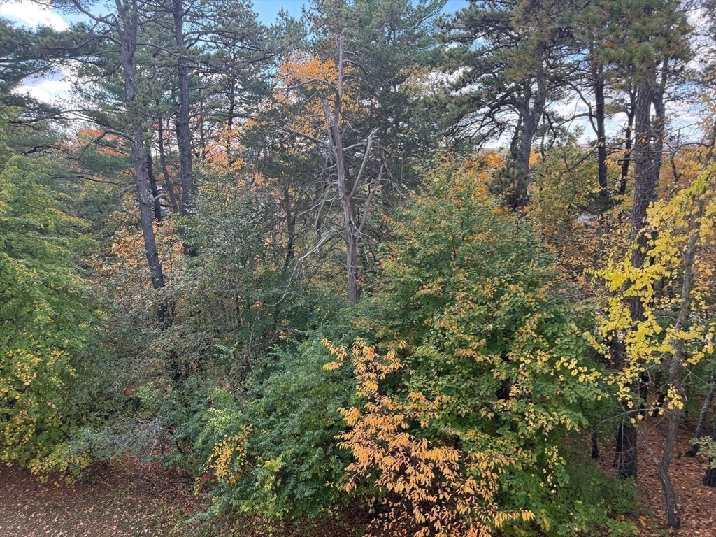 107 Clocktower Drive, Unit 207 Waltham, MA 02452 - Photo 18 of 18 a view of a yard with a tree