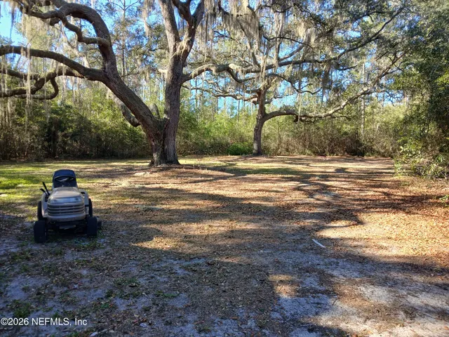 a view of a yard with a tree