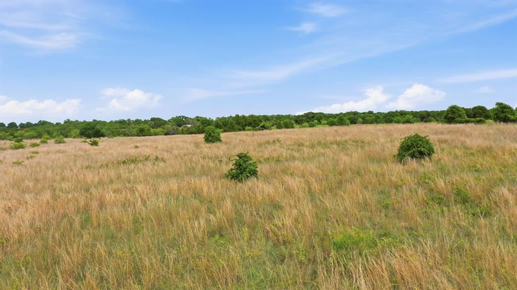 2051 Mustang Ridge Perrin, TX 76486 - Photo 11 of 25 a view of lake with mountain