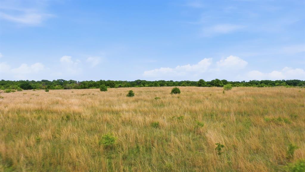 2051 Mustang Ridge Perrin, TX 76486 - Photo 15 of 25 a view of lake with houses in the background