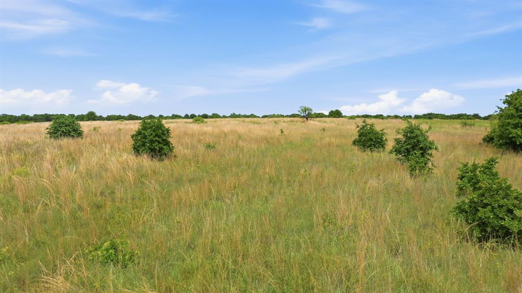 2051 Mustang Ridge Perrin, TX 76486 - Photo 25 of 25 a view of lake view and mountain view