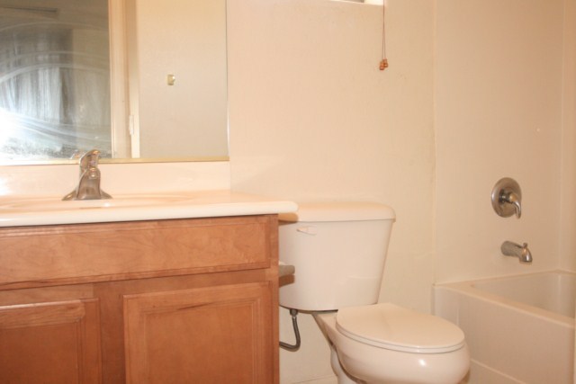 2847 South 160th Lane Goodyear, AZ 85338 - Photo 14 of 17 GUEST BATH