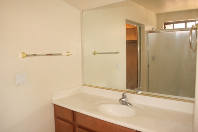 2847 South 160th Lane Goodyear, AZ 85338 - Photo 10 of 17 MASTER BATH