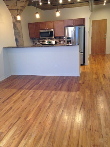 1111 West 14th Place, Unit 215 Chicago, IL 60608 - Photo 2 of 16