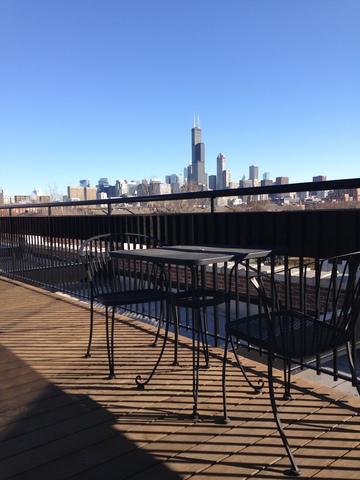 1111 West 14th Place, Unit 215 Chicago, IL 60608 - Photo 16 of 16