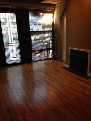 1111 West 14th Place, Unit 215 Chicago, IL 60608 - Photo 3 of 16