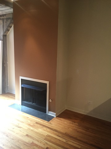 1111 West 14th Place, Unit 215 Chicago, IL 60608 - Photo 4 of 16