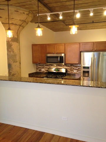 1111 West 14th Place, Unit 215 Chicago, IL 60608 - Photo 5 of 16