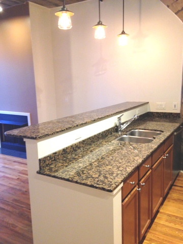 1111 West 14th Place, Unit 215 Chicago, IL 60608 - Photo 6 of 16