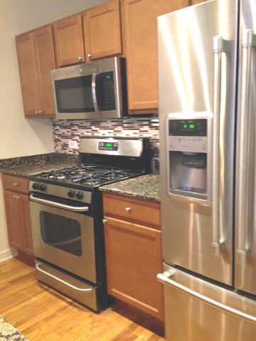 1111 West 14th Place, Unit 215 Chicago, IL 60608 - Photo 7 of 16