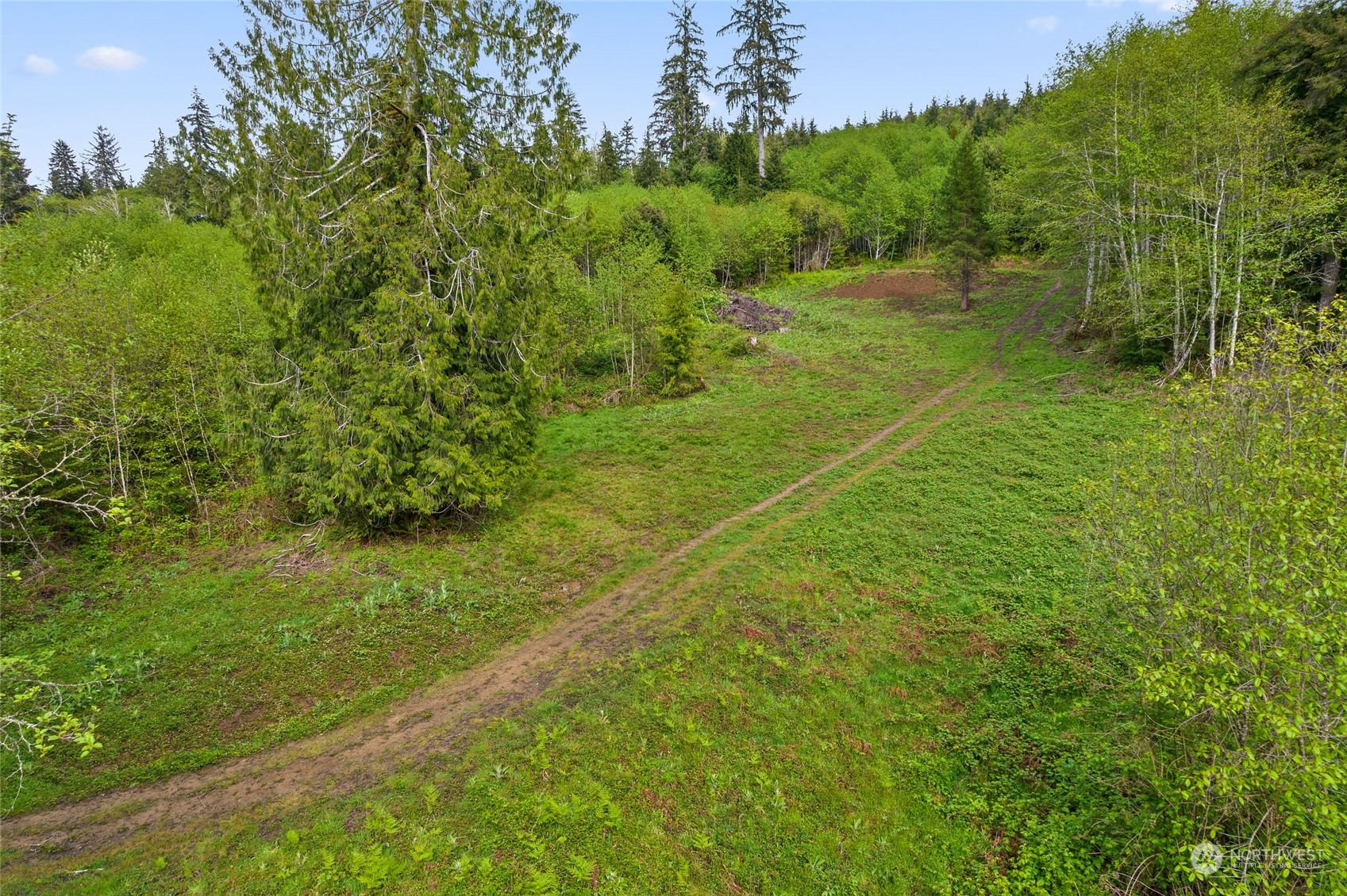 X Shahour Road Raymond, WA 98577 - Photo 14 of 18