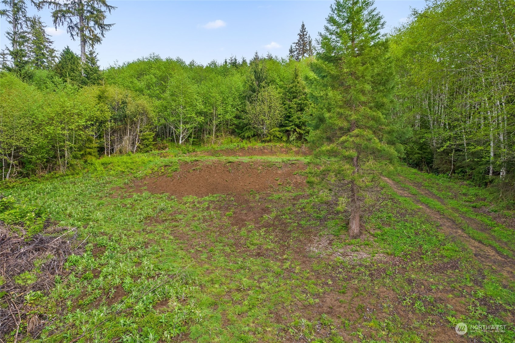 X Shahour Road Raymond, WA 98577 - Photo 15 of 18