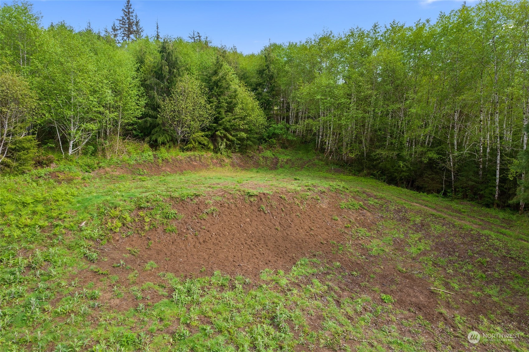 X Shahour Road Raymond, WA 98577 - Photo 16 of 18