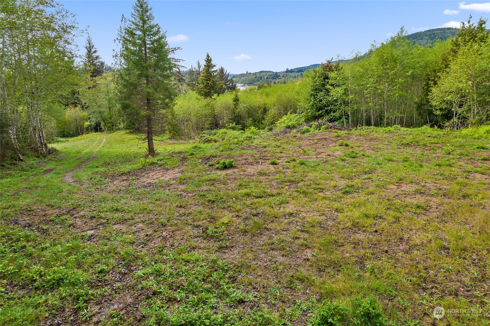 X Shahour Road Raymond, WA 98577 - Photo 17 of 18