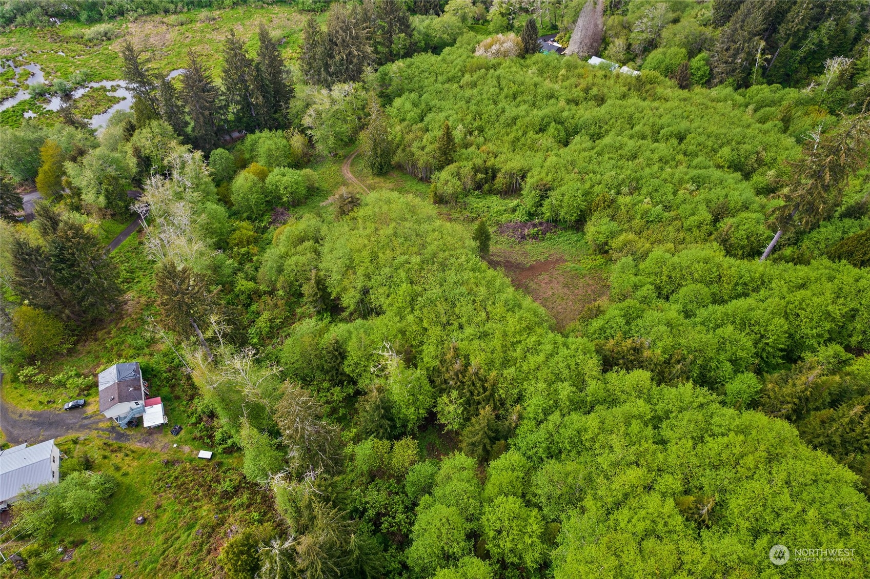 X Shahour Road Raymond, WA 98577 - Photo 6 of 18