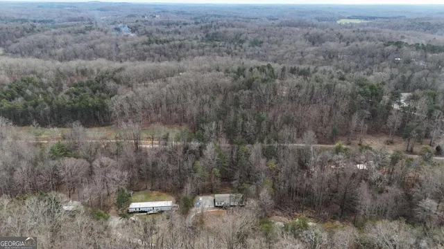 a view of a forest with a yard
