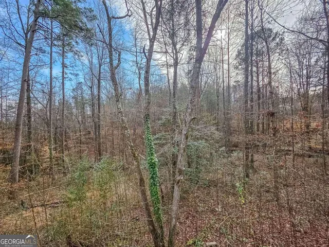 a view of a pathway of a yard